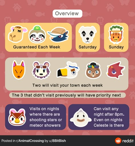 Flower Stall, Motif Acnl, Character Design Challenge, Ac New Leaf, Animal Crossing Funny, Animal Crossing Memes, Animal Crossing Guide, Animal Crossing Characters, Animal Crossing Villagers