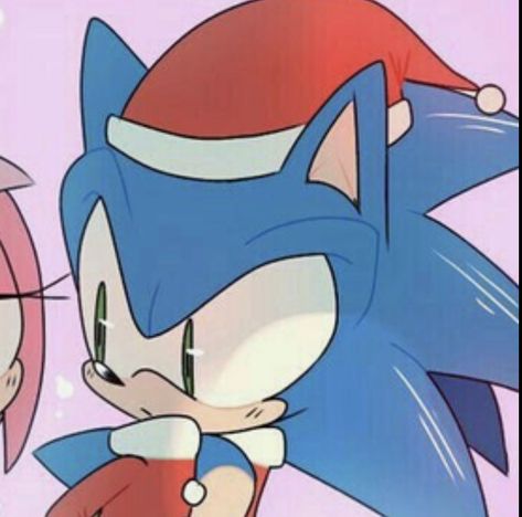 Matching Pfp Couple Sonic And Amy, Sonic And Amy Christmas Pfp, Sonic Christmas Matching Pfp, Sonamy Christmas, Sonic Christmas Art, Christmas Sonic Pfp, Sonamy Matching Icons, Sonic And Amy Matching Pfp, Anime Christmas Matching Pfp