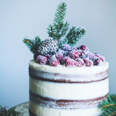 19 Holiday Cake Recipes to Make You Forget About Pie | Brit + Co Unfrosted Wedding Cake, Christmas Cake Recipe Traditional, Winter Wedding Food, Holiday Cake Recipes, Chocolate Peppermint Cake, Unfrosted Cake, Cheesecake Wedding Cake, Wedding Cheesecake, Peppermint Cake