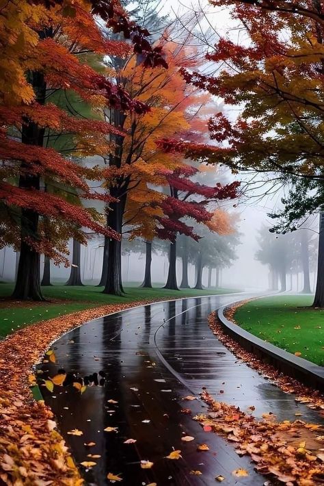 Rainy Autumn Aesthetic, Rainy Fall Morning, I Love The Rain, Love The Rain, Rainy Autumn, Balloons Photography, Peaceful Moments, Autumn Rain, Landscape Photography Nature