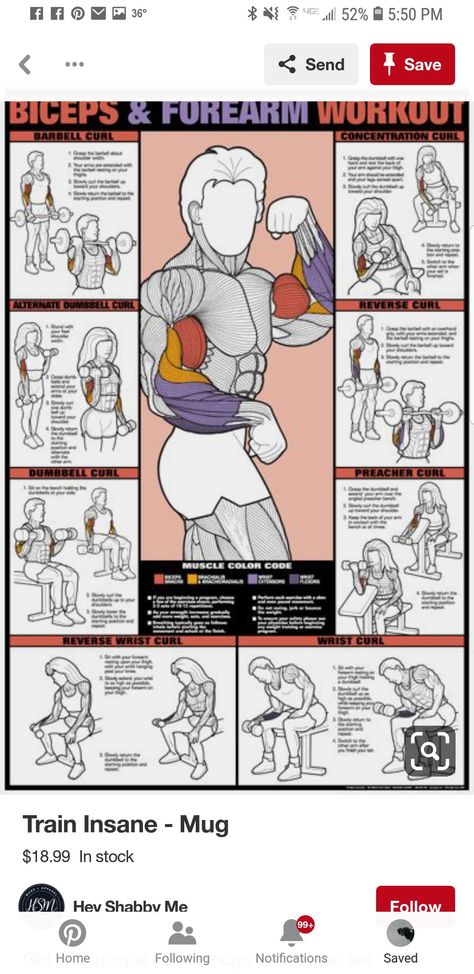 Forearm Workouts, Forearm Workout, Trening Sztuk Walki, Barbell Workout, Workout Posters, Workout Chart, Biceps Workout, Trening Abs, Fitness Challenge