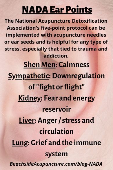 NADA Ear Points on the Beachside Blog: Shen Men, Sympathetic, Kidney, Liver, and Lung #auricular #acupuncture #nada #earacupuncture #auricularacupuncture Auricular Acupuncture, Ear Acupuncture, Ear Seeds, Acupuncture Needles, Psychiatric Ward, Racing Thoughts, Organ System, Acupressure Points, Traditional Chinese Medicine