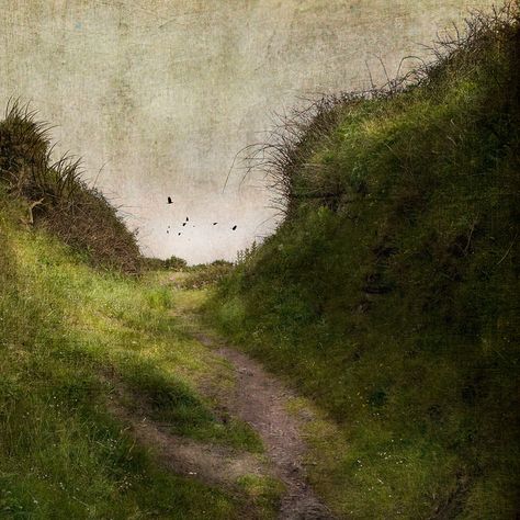 Jamie Heiden, Birds Flying, Art Plastique, Abstract Landscape, Painting Inspiration, Landscape Art, Artist Inspiration, Painting & Drawing, Landscape Paintings