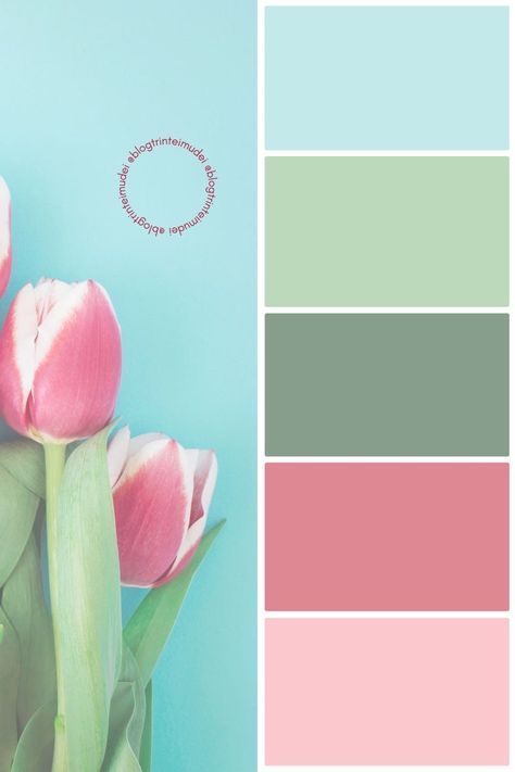 Colors That Go With Pink, 3 Color Palette, Wall Color Combination, Pastel Color Schemes, Hex Color Palette, Colour Shades, Spring Palette, Color Schemes Colour Palettes, Brand Color Palette