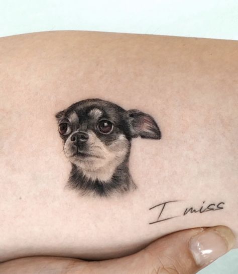 Dogs Face Tattoo, Pet Face Tattoo, Chiwawa Tattoo, Mini Dog Tattoo, Min Pin Tattoo, Pet Memory Tattoos, Dog Tattoo Portrait, Nose Tattoo, Chihuahua Tattoo