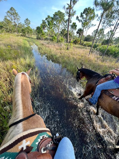 Trail Riding Aesthetic, Trail Ride Aesthetic, Riding Horse Aesthetic, Ride A Horse Aesthetic, Horses Training, Western Trail Riding, Horse Riding On Beach Aesthetic, Horse Trail Ride Aesthetic, Camping With Horses Trail Riding