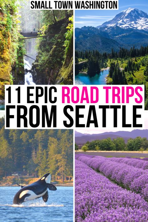 Seattle Oregon Road Trip, Week In Seattle, Must See Seattle, Seattle National Park Road Trip, Washington State Vacation Ideas, Seattle Off The Beaten Path, Pnw Weekend Getaways, Seattle Ferry Trips, Portland To Vancouver Road Trip