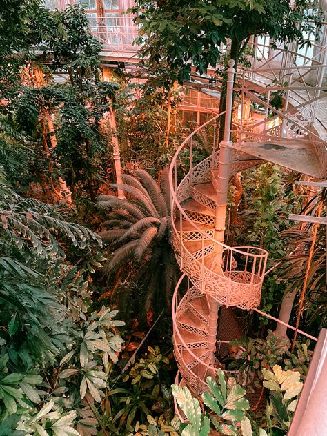 Palm Court, Palm House, Denmark