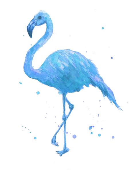 flamingo Flamingo Logo, Blue Flamingo, Bunny Painting, Flamingo Art, Animal Sketches, Lovely Things, Pink Flamingos, Illustrations Posters, Artist Inspiration