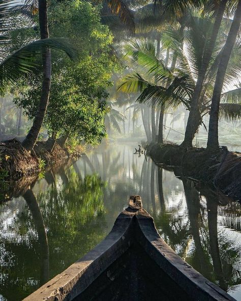 Lonely Planet India on Instagram: “Experience a misty sunrise canoe trip along the backwaters of #MunroeIsland. Located about 27 km from Kollam, this island is a hidden pearl…” Munroe Island, Best Vacation Spots, Canoe Trip, Photo Background Images, Tourist Places, Best Vacations, Lonely Planet, Landscape Photos, Nature Pictures