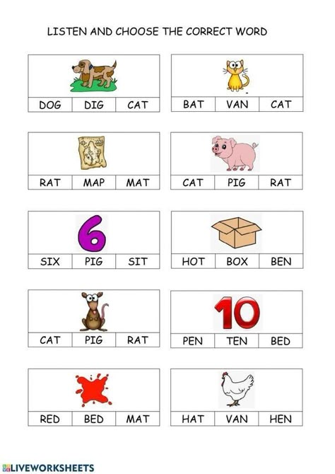 Cvc Reading Worksheet, An Words Worksheets, Phonics Cvc Words, Words Worksheet, Phonics Cvc, Cvc Worksheets, Cvc Words Worksheets, Kids Worksheet, Cvc Words Kindergarten