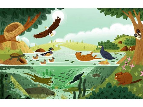 Mischief in the Mississippi 🦫 Habitat Drawing, Ecosystem Illustration, Habitat Illustration, Baby Animal Illustration, River Animals, River Illustration, Animal Habitat, Camping Pics, 동화 삽화