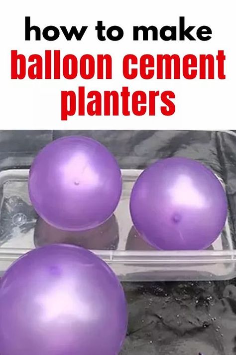 Check out this easy planter DIY idea for balloon cement planter. Quick and budget friendly way to make a cement planter for your outdoor porch, patio, backyard, or living room decor. Make Concrete Planters, Concrete Succulent Planters, Anthropologie Candle, How To Make Balloon, Planter Diy, Diy Concrete Planters, Wall Paneling Diy, Succulent Planters, Diy Ombre