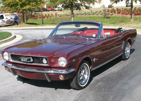 1966 ‪#‎Mustang‬ convertible. Do you know what the color is?  Looks like Vintage Burgundy which would be color code "X" on the data tag. Cherry Red Mustang, Cherry Coded, Fort Mustang, Red Ford Mustang, Mustang 1966, Red Mustang, 1966 Mustang, R34 Gtr, Highway Star