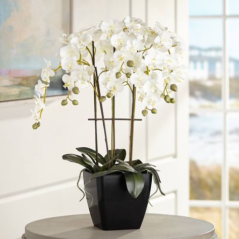 PRICES MAY VARY. 25 1/2" high x 11" wide overall. Pot is 7" high x 7" wide and weighs 3.96 pounds. Black matte finish plastic pot. White orchid flowers. Contemporary faux orchid plant from Dahlia Studios. Use for a bright and cheerful pop of color in a bathroom, living room and more. Looks good all year round. Bring the beauty of flowers to your home with this exceptional faux white phalaenopsis orchid plant. The contemporary and simple black pot features fabulous matte finish to add to the rich Apartment Furnishing, White Phalaenopsis Orchid, Faux Orchid, Rich Character, Living Room Lighting Tips, House Organization, Red Orchids, Fake Plants Decor, Beauty Of Flowers