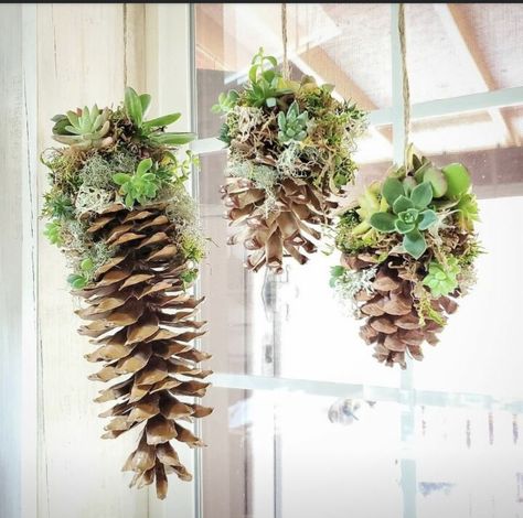 Succulent Decor, Strawberry Planters, Succulent Cuttings, Hanging Succulents, Tomato Cages, Pine Cone Decorations, Succulents Decor, Artificial Succulents, Faux Succulents