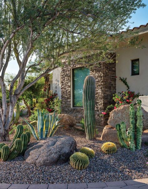 Paradise Valley Landscape Showcases a Tropical Touch - Phoenix Home & Garden Desert Palm Trees, Phoenix Landscape, Desert Landscaping Front Yard Arizona Native Plants, Lush Desert Landscaping, Desert Metal Yard Art, Jardin Cactus Exterior, Agave Americana Landscaping, Desert Landscape Front Yard, Cholla Cactus Garden Joshua Tree