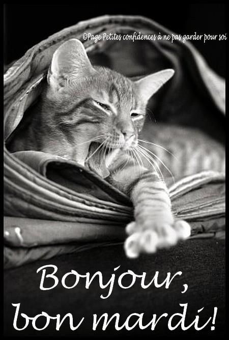 Mardi image #7450 - Bonjour, bon mardi ! - Partager cette photo sur Facebook, Twitter et WhatsApp. Mardi Humour, Bon Mardi, Pink Quotes, The Eighth Day, Facebook Twitter, Images Photos, Week End, Say Hello, One Pic