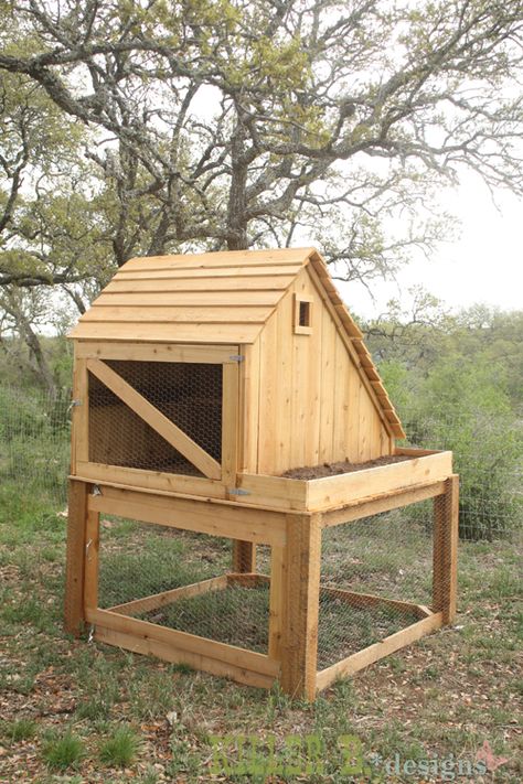 Saltbox Chicken Coop Rooster House, Coop Run, Build A Chicken Coop, Urban Chicken Farming, Diy Chicken Coop Plans, Chicken Coop Run, Urban Chickens, Coop Ideas, Chicken Ideas