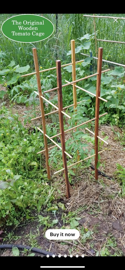 Tomato Cages Diy, Trellis For Tomatoes, Tanaman Tomat, Tomato Support, Diy Bamboo, Tomato Trellis, Bamboo Trellis, Tomato Cages, Veg Garden