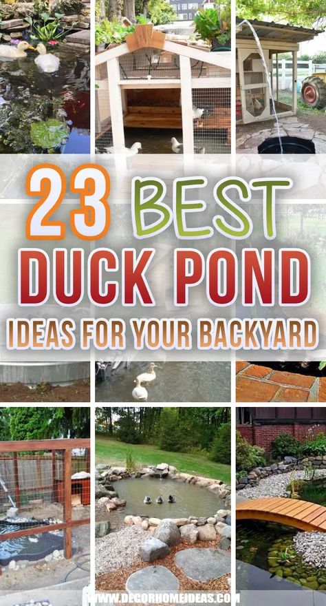 23 Best Backyard Duck Pond Ideas and Designs Duck Coop Ideas With Pond, Raised Duck Pond, Diy Small Duck Pond, Diy Pond For Ducks, Duck Pond Water For Garden, Building A Fish Pond, Small Backyard Duck Ponds, Duck Pond Ideas Backyards, Backyard Ducks Habitat Diy