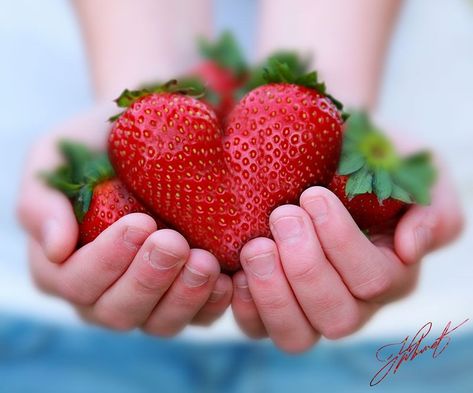 I love you more than strawberries Heart In Nature, Strawberry Hearts, Hands Holding, I Love Heart, Strawberry Fields, With All My Heart, Happy Heart, Beautiful Heart, The Shape