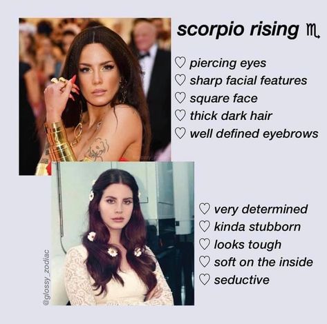 Zodiac Mind Scorpio, Scorpio Ascendant, Scorpio Rising, Zodiac Love Compatibility, Scorpio And Capricorn, Scorpio Zodiac Facts, Astrology Planets, Birth Chart Astrology, Virgo Moon