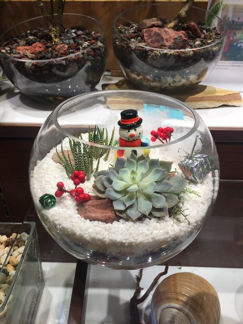 Holiday Succulent Gifts, Holiday Succulent Ideas, Christmas Succulents Gift, Christmas Fish Bowl Ideas, Fish Bowl Christmas Ideas, Christmas Succulent Ideas, Winter Terrarium, Christmas Succulents, Christmas Centrepiece Ideas