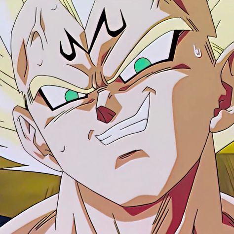 Vegeta Icons Aesthetic, Vegeta Pfp, Vegeta Anime, Dragon Ball Vegeta, One Punch Anime, Goku Manga, Majin Vegeta, Gogeta And Vegito, Dragon Ball Wallpaper Iphone