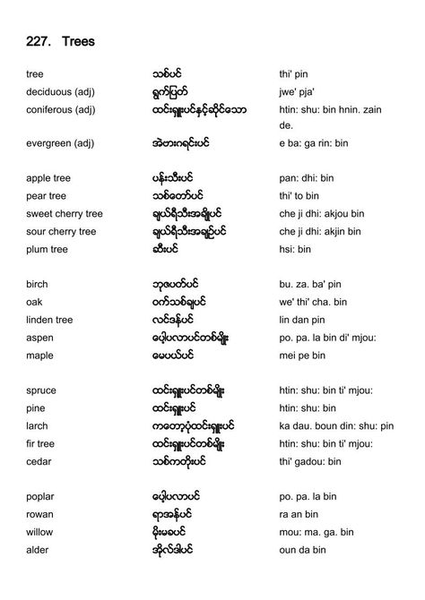 English-Burmese vocabulary - Trees English Quotes Myanmar, Burmese Tattoo, Burmese Poem, Burmese Quotes, Vocabulary Meaning, Burmese Language, Literature Notes, English Speaking Book, English Literature Notes