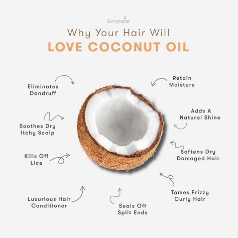 Coconut Reference, Coconut Lifestyle, Dry Scalp Remedy, Hair Lice, Reduce Dandruff, Diy Conditioner, Conditioner Curly Hair, Coconut Oil Face Mask, Scalp Mask