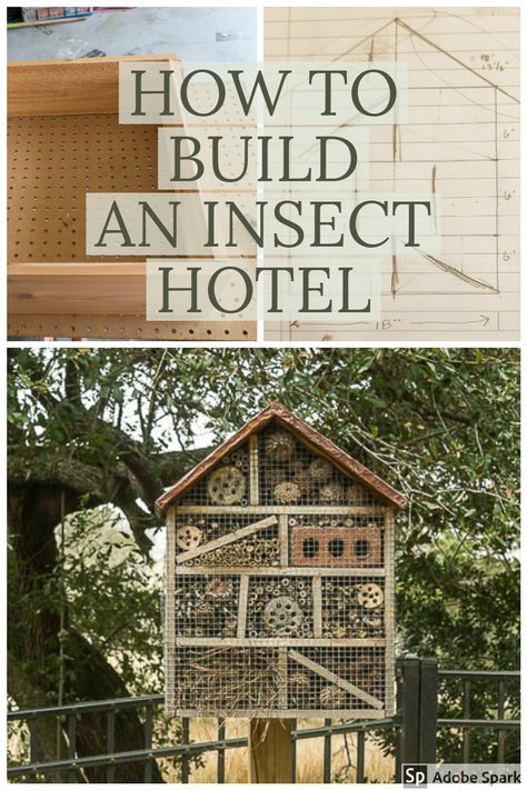 Easy to make insect hotel to house and help foster beneficial insects. #diy #build #InsectHotel #beneficialinsects #garden Bee Hotels, Insect House, Easy Backyard Diy, Nature Studies, Bee Hotel, Bug Hotel, Insect Hotel, Bird House Plans, Future Garden