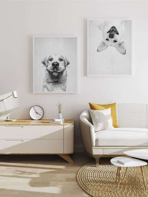 Dog Picture Ideas Decor, Dog Wall Decor Ideas, Dog Bedroom Ideas, Affordable Room Decor, Pet Wall Decor, Farm Hacks, Pet Wall Art, Dog Bedroom, Bedroom Ideas Modern