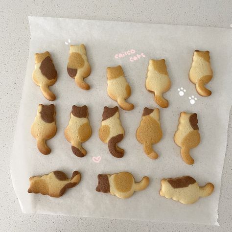 @_kale7__ on ig Calico Cat Cookies, Cat Cookies, Calico Cat