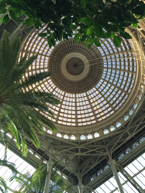 NY Carlsberg Glyptotek Museum. Ceiling dome in the atrium area. Incredibly beautiful. Ny Carlsberg Glyptotek, Casino Exterior, Museum Atrium, Atrium Ceiling, Romance Room, Museum Ceiling, Atrium Design, Ceiling Domes, Dome Building