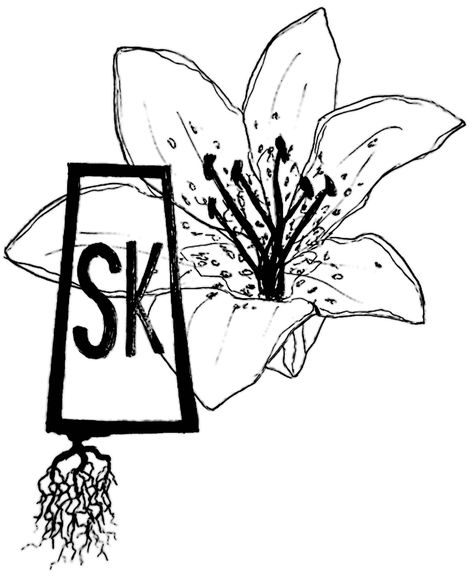 Saskatchewan roots tattoo Prairie lily Western lily Saskatchewan Tattoo Ideas, Metis Tattoo Ideas, Prairie Lily Tattoo, Prairie Tattoo Ideas, Saskatchewan Tattoo, Prairie Tattoo, Lily Tattoo Sleeve, Prairie Lily, Lilies Tattoo