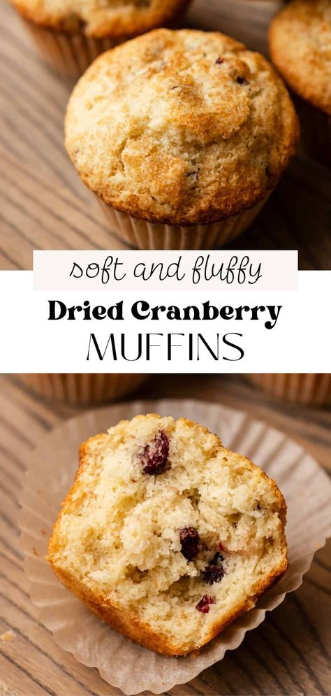 These moist dried cranberry muffins are perfect to make for a Fall or Winter breakfast if you're over all things pumpkin. They're fluffy and tender thanks to buttermilk and have tart dried cranberries in every bite! Craisin Muffins Dried Cranberries, Lemon Cranberry Muffins With Dried Cranberries, Craisin Muffins Recipes, Dried Fruit Muffin Recipes, Recipes With Craisins Dried Cranberries, Cranraisin Recipes, Cranberry Muffins With Dried Cranberries, Recipes Using Dried Cranberries, Recipes With Dried Cranberries