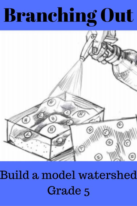 Watershed Model, Wetlands Activities, Activities Board, Teaching Stem, Water Paper, Bottle Of Water, Science Club, Paper Food, 6th Grade Science