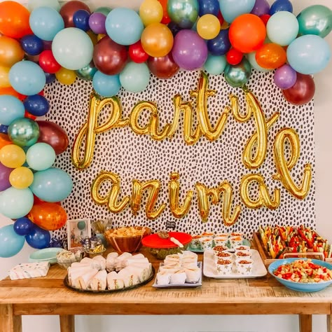 Confetti 1st Birthday Theme, Kalahari Birthday Party, Party Animal Birthday Theme Backdrop, Colorful 3rd Birthday Party, Part Animal Birthday, Colorful Party Animal Birthday Theme, Infant Birthday Party Ideas, Party Animal Pool Party, Sibling Party Themes