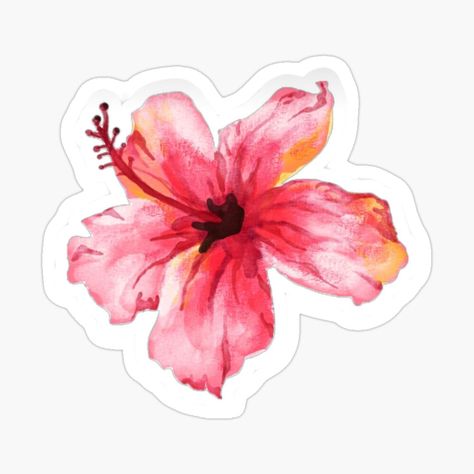 Get my art printed on awesome products. Support me at Redbubble #RBandME: https://www.redbubble.com/i/sticker/Hawaiian-flower-by-SofiaDelgado/164045442.JCQM3?asc=u Pink Flowers Aesthetic Stickers, Hawaii Flower Clip, Hawaiian Stickers, Hibiscus Flower Car Decal, Aloha Sticker, Hawaiian Flower, Tropical Flower, Hawaiian Flowers, Tropical Flowers