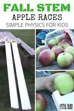 Apple Gravity Experiment far STEM and physics for kids Gravity Experiments, Fall Science Activities, Preschool Apple Activities, Experiment Science, Stem Activities Preschool, Fall Science, Apple Lessons, Activity For Preschoolers, Apple Festival