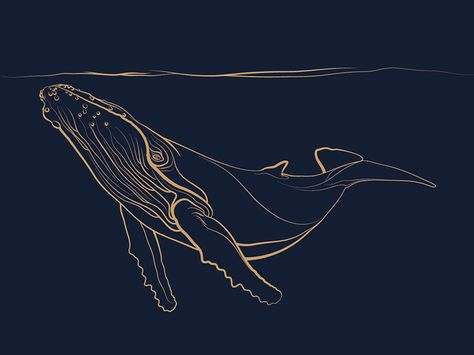 Blue whale design by Natacha De Greef Luxury Wallpaper Texture Seamless, Blue Whale Drawing, Whale Artwork, Whale Wall Art, Whale Painting, Art Deco Paintings, Whale Tattoos, Digital Media Design, Whale Design