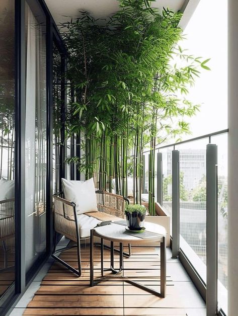 Tall Balcony Plants, Bamboo On Balcony, Bamboo Balcony Ideas, Balcony Railings Ideas, Tree On Balcony, Plant Decor Bathroom, Bamboo Balcony, Bathroom Plant Decor, Zen Apartment Decor