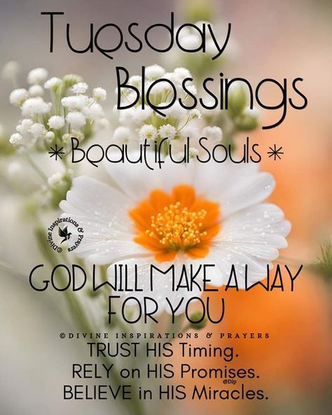 Good Morning Happy Tuesday God Bless You, Blessed Tuesday Good Morning, Tuesday Blessings Inspiration, Happy Blessed Tuesday, Tuesday Blessings Mornings, Good Morning Tuesday Blessings, Have A Blessed Day Inspiration, Happy Tuesday Images, Tuesday Quotes Good Morning