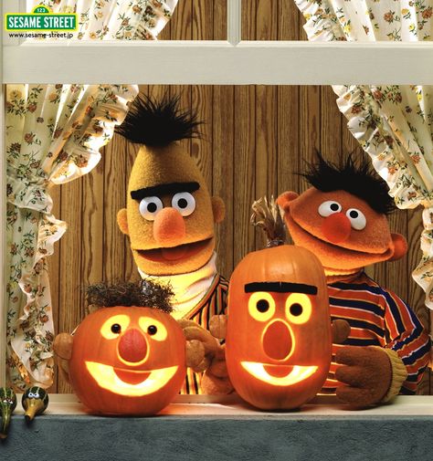 8" sesame street characters | photo trick: Sesame street high resolution background Beto Y Enrique, Ernie Und Bert, Sesame Street Muppets, Bert & Ernie, Image Halloween, Sesame Street Characters, Fraggle Rock, The Muppet Show, Jim Henson