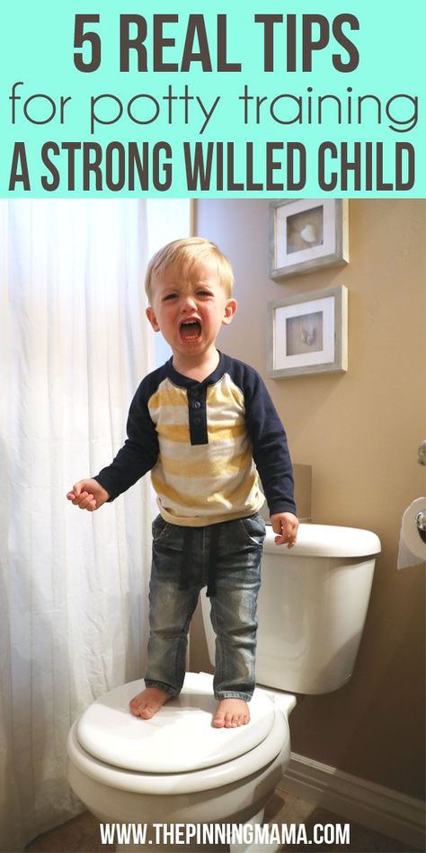 This is the best I have read on Potty Training! 5 REAL tips on potty training a strong willed child! Potty Training Ideas, Potty Training 101, Potty Training Help, Potty Training Girls, Starting Potty Training, Potty Training Boys, Toddler Potty, Toddler Potty Training, Foto Newborn