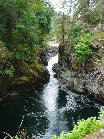 Port Alberni, What To Do Today, To Do Today, Future Travel, Vancouver Island, Canada Travel, Tourist Attraction, British Columbia, Places To See