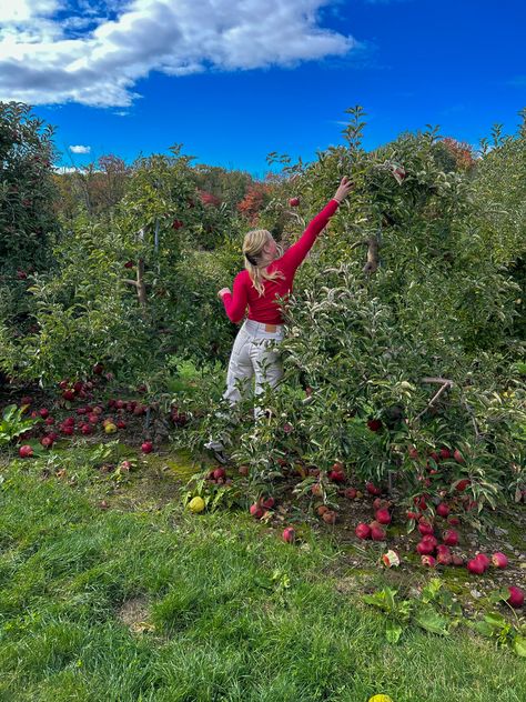 cute fall autumn photo pic photography inspiration aesthetic friends field Apple Picking Fall, Background Landscape, Aesthetic Friends, Fall Photo, Inspiration Aesthetic, Apple Picking, Fall Photos, Photo Inspo, Fall Autumn