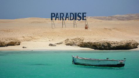 Giftun - Paradise island - Egypt Paradise Island, Holiday Destinations, Travel Inspiration, Light Box, Egypt, Paradise, Natural Landmarks, Photography, Travel