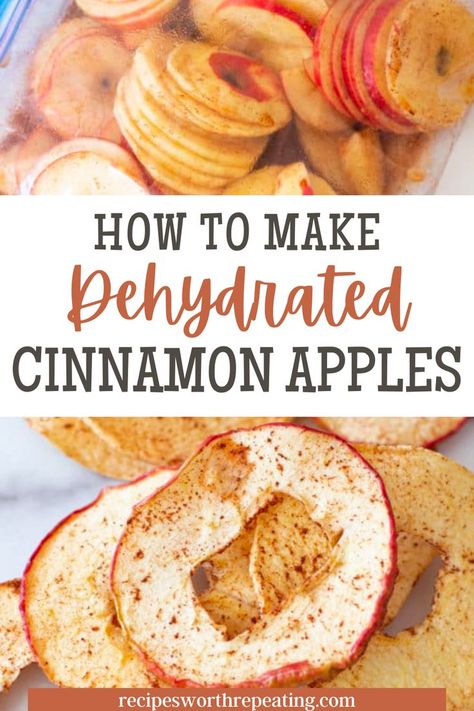 Dehydrated Cinnamon Apple Chips, Dried Apple Recipes Dehydrator, Dried Cinnamon Apple Slices, Dehydrator Apples With Cinnamon, Dry Apples In Dehydrator, How To Make Apple Chips In Dehydrator, Freeze Dried Apples How To Make, Cinnamon Apple Chips Dehydrator, Dehydrator Recipes Potato